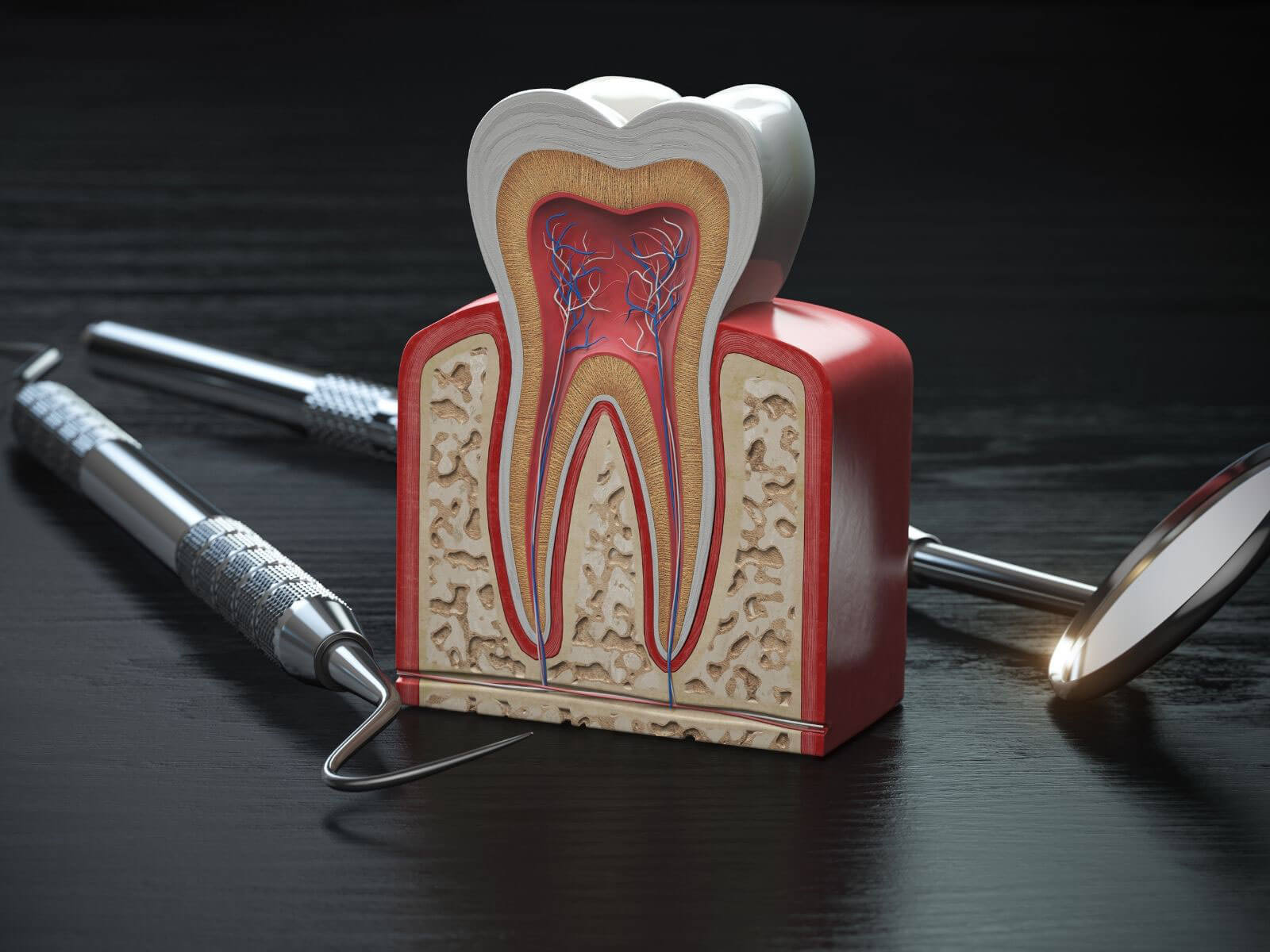 Root Canal vs. Tooth Extraction: Which Option Should You Choose?